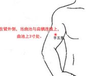 手五里的神奇功效，手五里的准确位置图