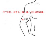 肘髎怎么读？肘髎穴的准确位置图和作用