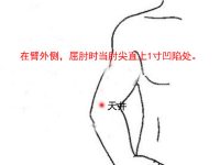 天井穴的最笨找法，天井的准确位置图和作用