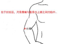 找小海穴的最笨方法，小海的准确位置图和作用