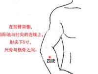 四渎穴的作用与功效，四渎的准确位置图和作用