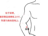 温溜穴简易定位,温溜的准确位置图和作用 温溜穴简易定位,温溜的准确位置图和作用