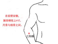 三阳络穴的功效与作用，三阳络的准确位置图