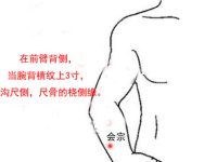 找会宗穴的最笨方法，会宗的准确位置图和作用