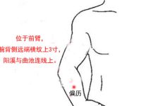 偏历穴的功效与作用，偏历的准确位置图