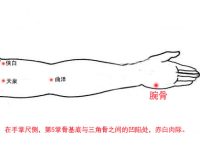 腕骨穴简易取法，腕骨的准确位置图和作用