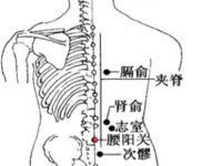 腰阳关简单找法，腰阳关的准确位置图和作用