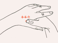 合谷穴位的作用和准确位置