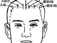 按摩神庭有什么作用？神庭的准确位置图