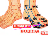 大敦穴位位置图及功效