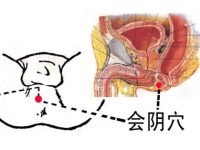 会阴穴在哪？会阴穴的作用有哪些？