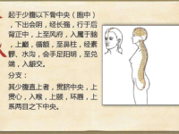 督脉穴位图，督脉的准确位置