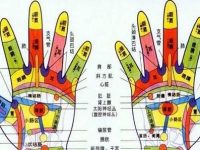 手掌全息反应图片（高清版）