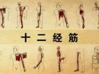 十二经脉循行图（高清）