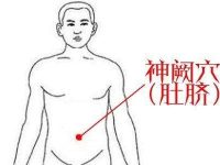 神阙穴的神奇功效，神阙穴的准确位置图片