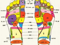 足底反射区功能与作用，足底反射区高清图