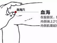 血海穴的作用，血海穴的准确位置图