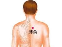 肺俞穴的作用，肺俞的准确位置图片