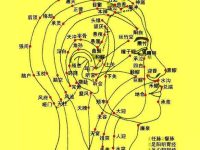 头部经络图，头部九条经络图解大图