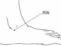 照海穴的作用与功效，照海穴的准确位置图