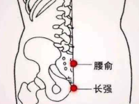 腰俞穴的作用与功效，腰俞的准确位置图
