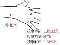 养老穴的功效与作用，养老的准确位置图片