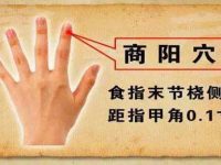 商阳穴的作用与功效，商阳的准确位置图片