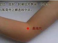 曲池穴的作用与功效，曲池的准确位置图片