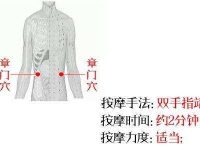 章门穴的功效与作用，章门的准确位置图片