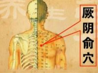 厥阴俞穴的作用，厥阴俞的准确位置图