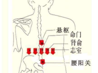 志室穴的作用，志室的准确位置图片