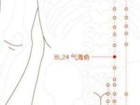 气海俞穴的作用功效，气海俞的准确位置图
