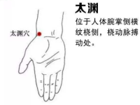 太渊穴在哪里？太渊穴的作用，太渊的准确位置图
