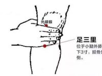 足三里穴的功效与作用，足三里的准确位置图