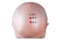 囟会怎么读？囟会穴的作用，囟会的准确位置图片