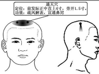通天穴的作用与功效，通天的准确位置图