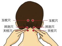 玉枕穴的作用与功效，玉枕的准确位置图