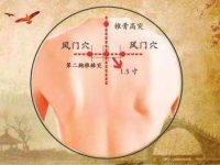 风门穴的作用功效，风门的准确位置图