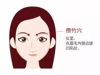攒竹是读cuan还是zan?攒竹的作用,攒竹的准确位置图片 攒竹是读cuan还是zan?攒竹的作用,攒竹的准确位置图片