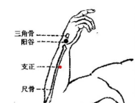 支正穴怎么找，支正的准确位置图和作用