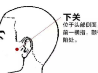 下关穴怎么找？下关的准确位置图片和作用