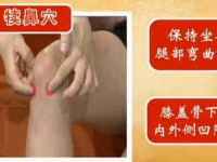 犊鼻穴的作用与功效,犊鼻的准确位置图 犊鼻穴的作用与功效,犊鼻的准确位置图
