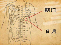 日月穴怎么找？日月的准确位置图和作用