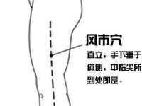 风市穴怎么找，风市的准确位置图和作用