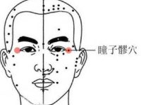 瞳子髎穴的作用与功效，瞳子髎的准确位置图