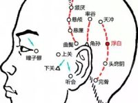 完骨穴怎么找？完骨的准确位置图和作用