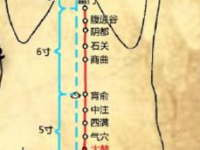 大赫穴的作用与功效，大赫的准确位置图