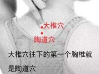 陶道穴的作用与功效，陶道的准确位置图片