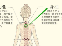 身柱穴怎么找最简便，身柱的准确位置图和作用