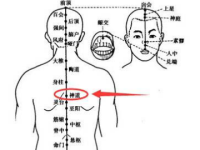 艾灸神道穴的好处，神道的准确位置图与作用